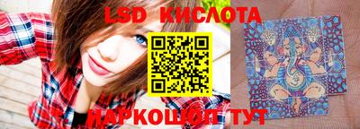 СК Новокубанск