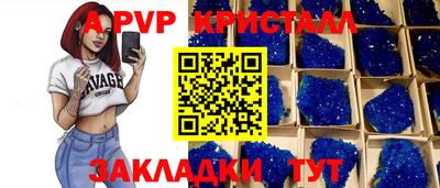 СК Новокубанск